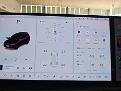 Li Auto L9 Max - ფოტო 11