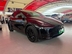 Tesla Model Y Rear-Wheel Drive - ფოტო 3