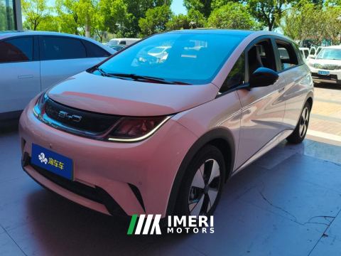 2023 BYD Dolphin 420km Stylish Edition - ავტომობილი ჩინეთიდან