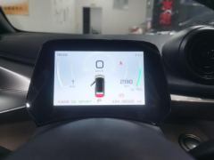 BYD Dolphin 420km Free Version - ფოტო 20