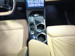Geely Boyue L 1.5T Premium Version - ფოტო 19