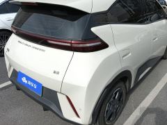 BYD Seagull 305km Free Version - ფოტო 2