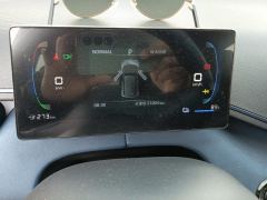 BYD Seagull 305km Free Version - ფოტო 20
