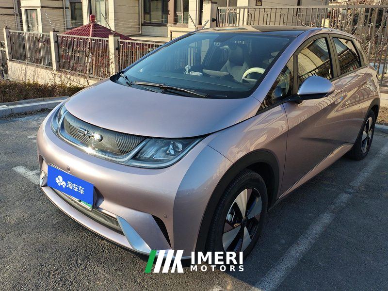 BYD Dolphin 420km Stylish Edition - car from China