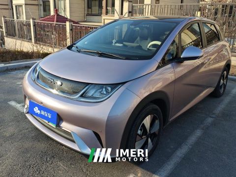 2023 BYD Dolphin 420km Stylish Edition - car from China