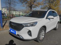 Haval M6 PLUS 1.5T Luxury Version - ფოტო 1