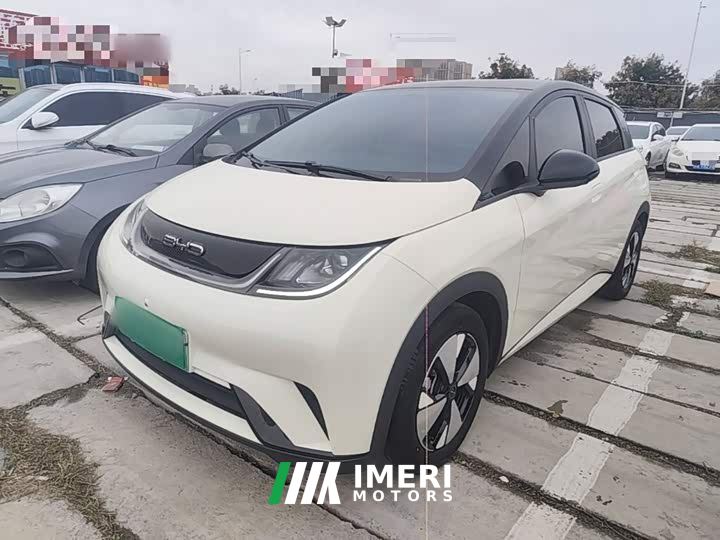 BYD Dolphin 420km Freedom Edition - автомобиль из Китая