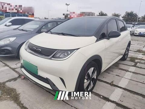 2023 BYD Dolphin 420km Freedom Edition - car from China