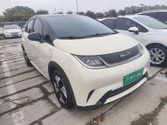BYD Dolphin 420km Freedom Edition - фото 3