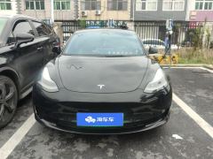 Tesla Model 3 556km Rear-Wheel Drive Edition - ფოტო 3