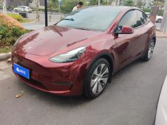 Tesla Model Y Standard endurance rear-wheel drive - ფოტო 1