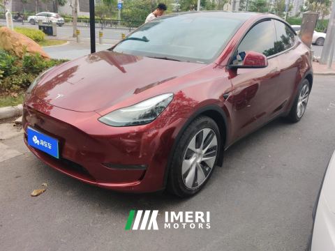 2021 Tesla Model Y Standard endurance rear-wheel drive - ავტომობილი ჩინეთიდან