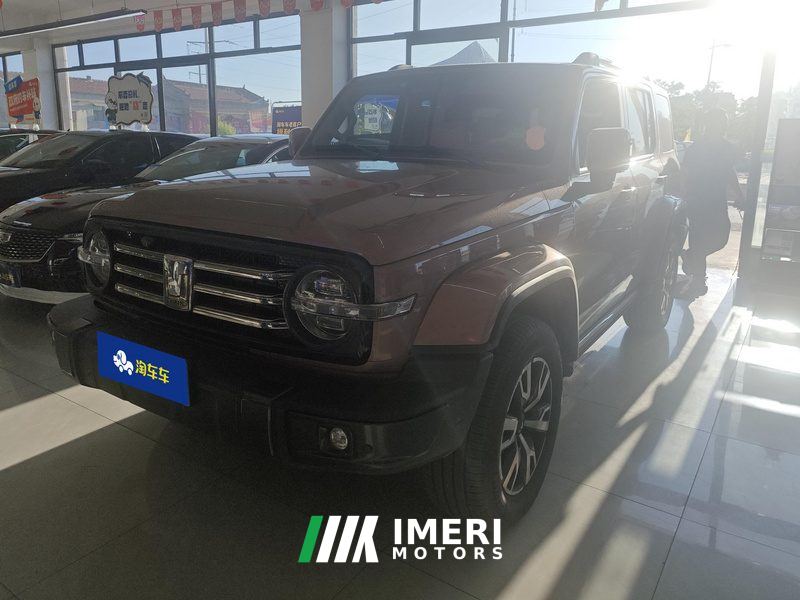 Tank 300 City Edition 2.0T Stylish - ავტომობილი ჩინეთიდან