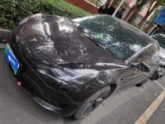 Tesla Model 3 556km Rear-Wheel Drive Edition - photo 1