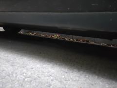 Tesla Model 3 556km Rear-Wheel Drive Edition - photo 10