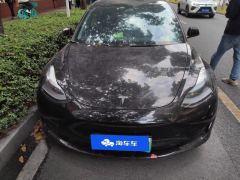Tesla Model 3 556km Rear-Wheel Drive Edition - photo 3