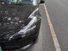 Tesla Model 3 556km Rear-Wheel Drive Edition - photo 4