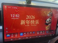 Denza D9 DM-i970AWD Version - ფოტო 17