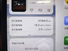 Changan Qiyuan Q07 215 Flagship Plus - ფოტო 11