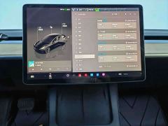 Tesla Model 3 Rear-Wheel Drive - ფოტო 8