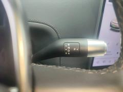 Li Auto L6 Pro - photo 13