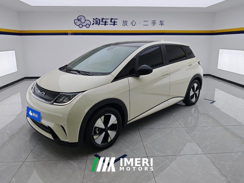 BYD Dolphin 420km Stylish Edition - ავტომობილი ჩინეთიდან
