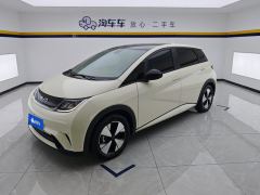 BYD Dolphin 420km Stylish Edition - ფოტო 1