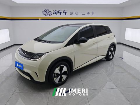 2023 BYD Dolphin 420km Stylish Edition - ავტომობილი ჩინეთიდან