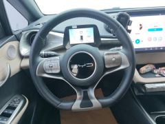 BYD Dolphin 420km Stylish Edition - ფოტო 18