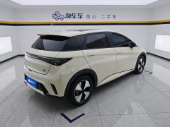 BYD Dolphin 420km Stylish Edition - ფოტო 2