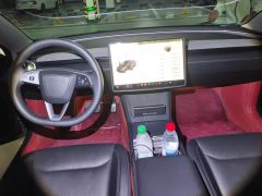 Tesla Model 3 606km Rear-Wheel Drive Edition - photo 16