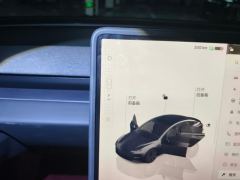 Tesla Model 3 606km Rear-Wheel Drive Edition - photo 19