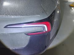 Tesla Model 3 606km Rear-Wheel Drive Edition - photo 5