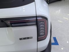 Haval Great Wall Big Dog Great Wall Dog 2.0T Two-wheel drive Chinese hunting dog version - photo 5