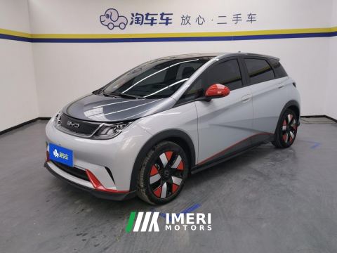 2021 BYD Dolphin 401km Knight Edition - ავტომობილი ჩინეთიდან