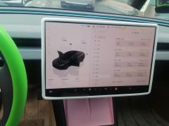 Tesla Model 3 606km Rear-Wheel Drive Edition - photo 20