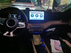 BYD Seagull 305km Free Version - ფოტო 16