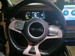 BYD Seagull 305km Free Version - ფოტო 18