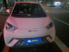 BYD Seagull 305km Free Version - ფოტო 3