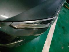 BYD Qin PLUS DM-i 55km Flagship - фото 4