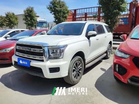 2023 Haval H5 2.0T AWD Edition - car from China