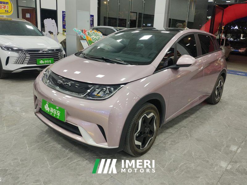 BYD Dolphin 405km Stylish Edition - ავტომობილი ჩინეთიდან
