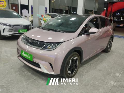 2021 BYD Dolphin 405km Stylish Edition - ავტომობილი ჩინეთიდან