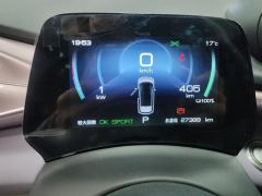 BYD Dolphin 405km Stylish Edition - ფოტო 20