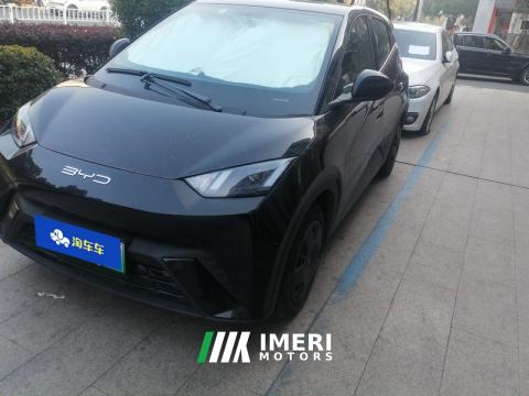 2023 BYD Seagull 305km Vitality Edition - ავტომობილი ჩინეთიდან