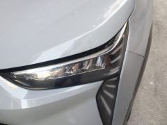 Aion Y 500km 70 Joy Edition Lithium iron phosphate - photo 4