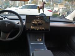 Tesla Model 3 556km Rear-Wheel Drive Edition - photo 17