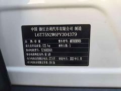 Geely Geometry E Firefly 401KM Linglong Tiger 5-Seater - photo 10
