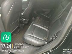 Tesla Model Y Rear-Wheel Drive - фото 6