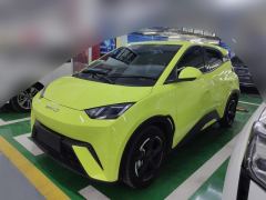 BYD Seagull 305km Free Version - ფოტო 1